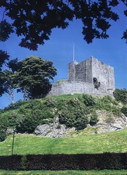 Castle